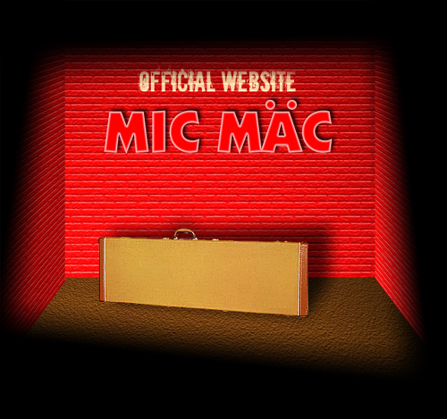 MIC-MAC