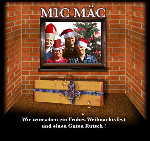 MIC-MAC